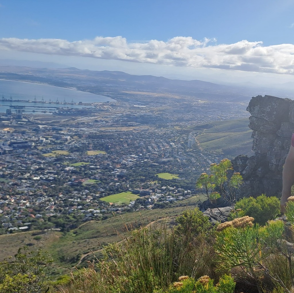 A view of Cape Town from India Venster hiking trail.