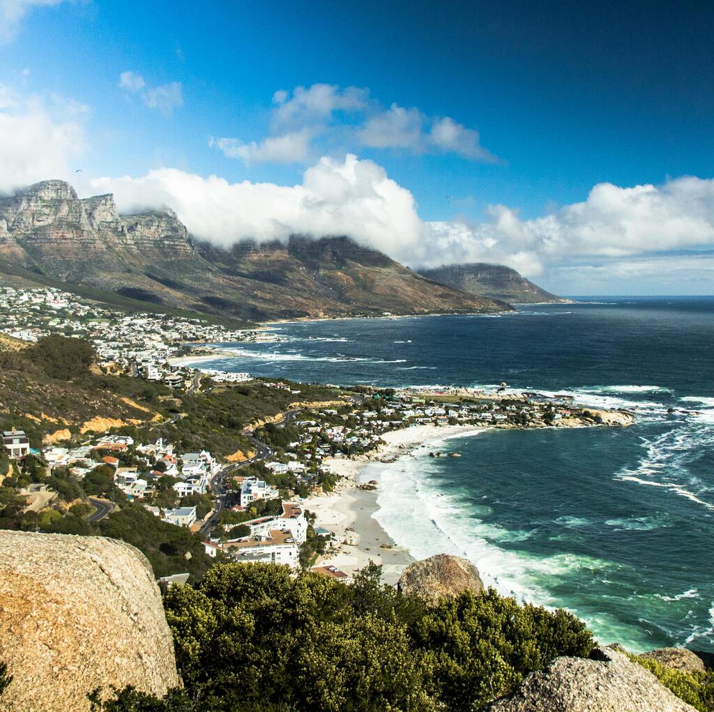 Table Mountain covered in clouds with the city beneath it and red and white flowers in the forefront.