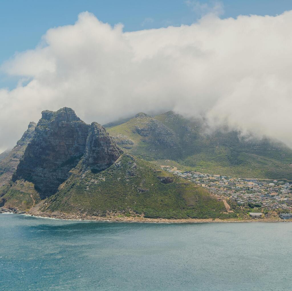 Table Mountain covered in clouds with the city beneath it and red and white flowers in the forefront.
