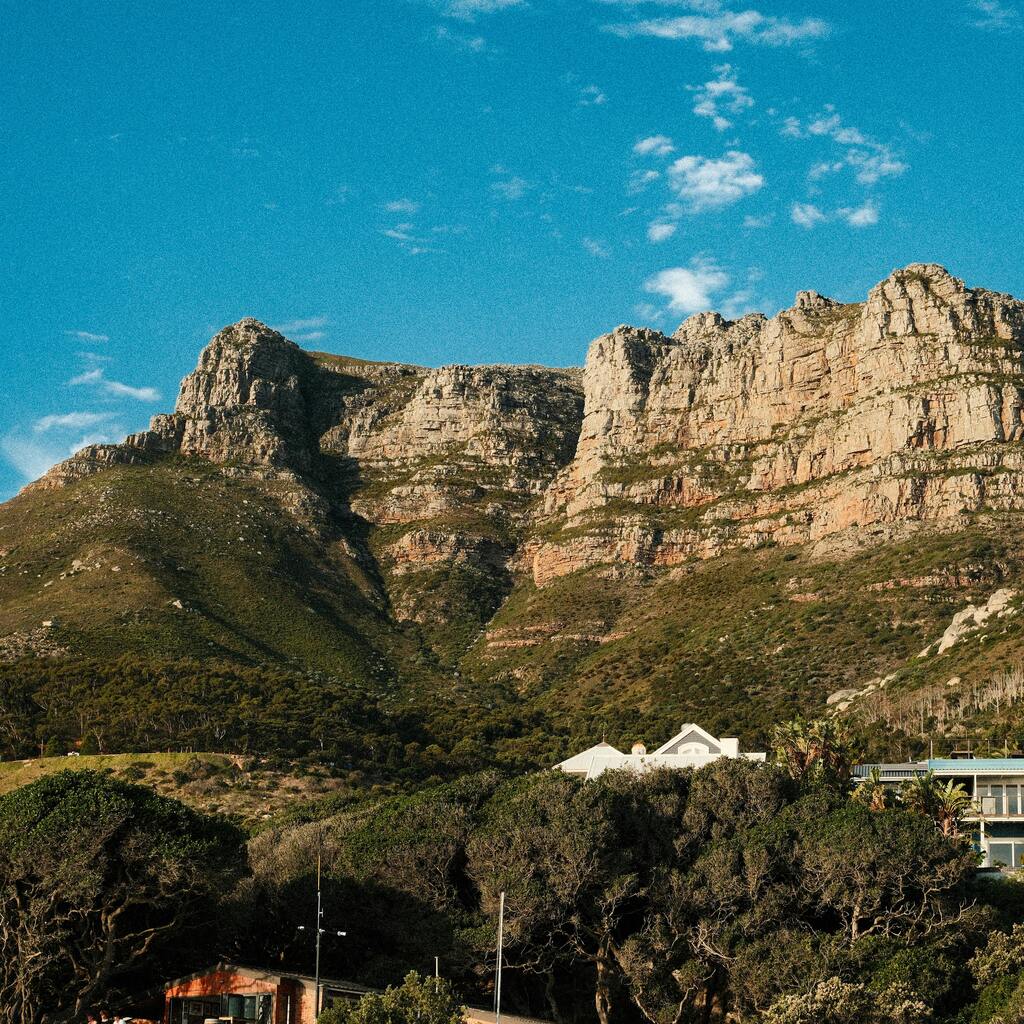 Table Mountain covered in clouds with the city beneath it and red and white flowers in the forefront.