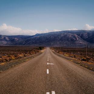 Table Mountain covered in clouds with the city beneath it and red and white flowers in the forefront.