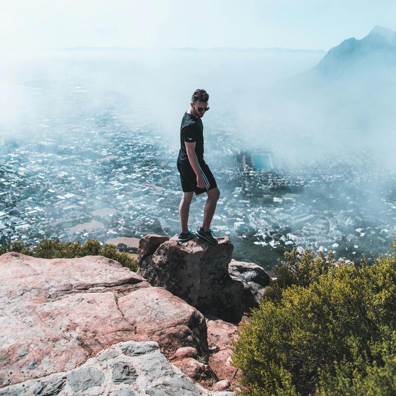 Lion's Head
