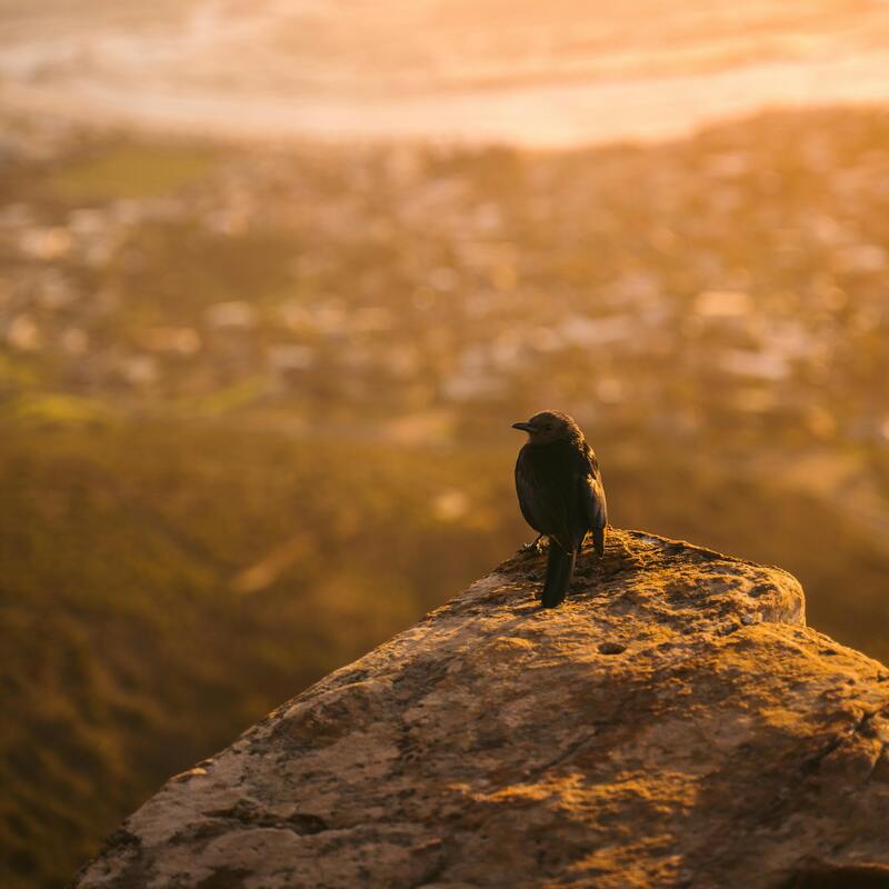Cape Town