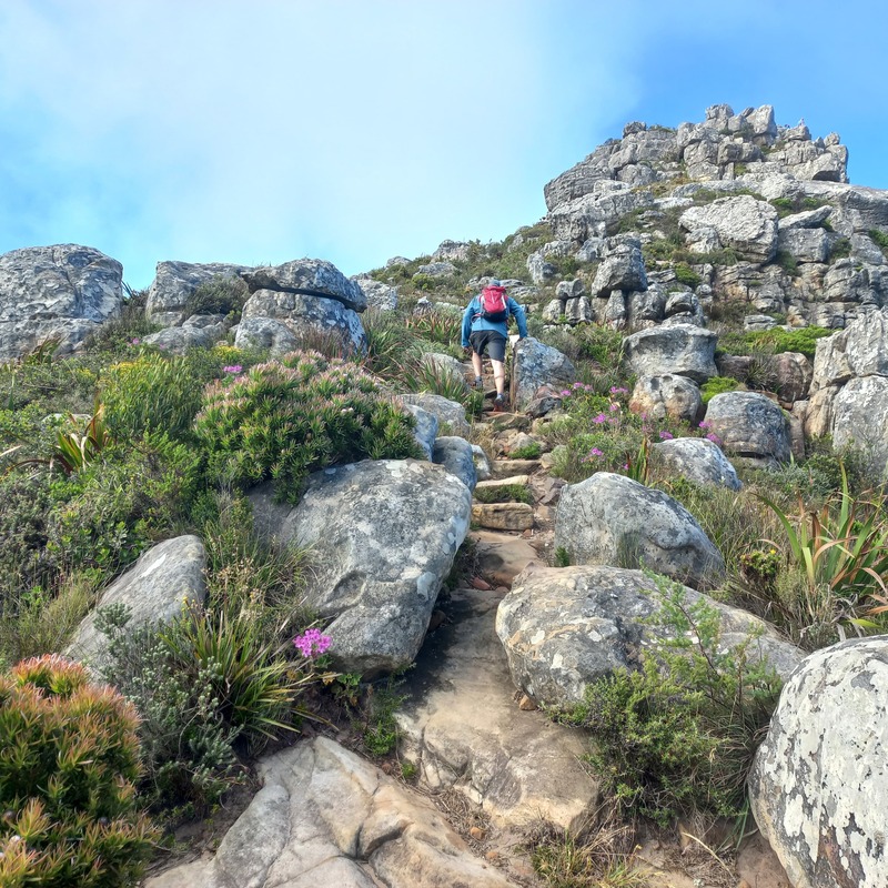 Chapman's Peak Hike