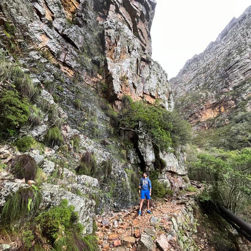 Pipetrack TRail
