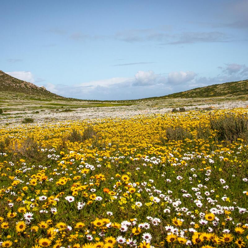 West Coast in Spring