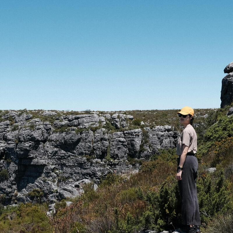 Table Mountain