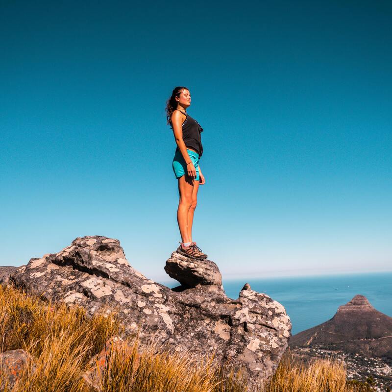 Lion's Head