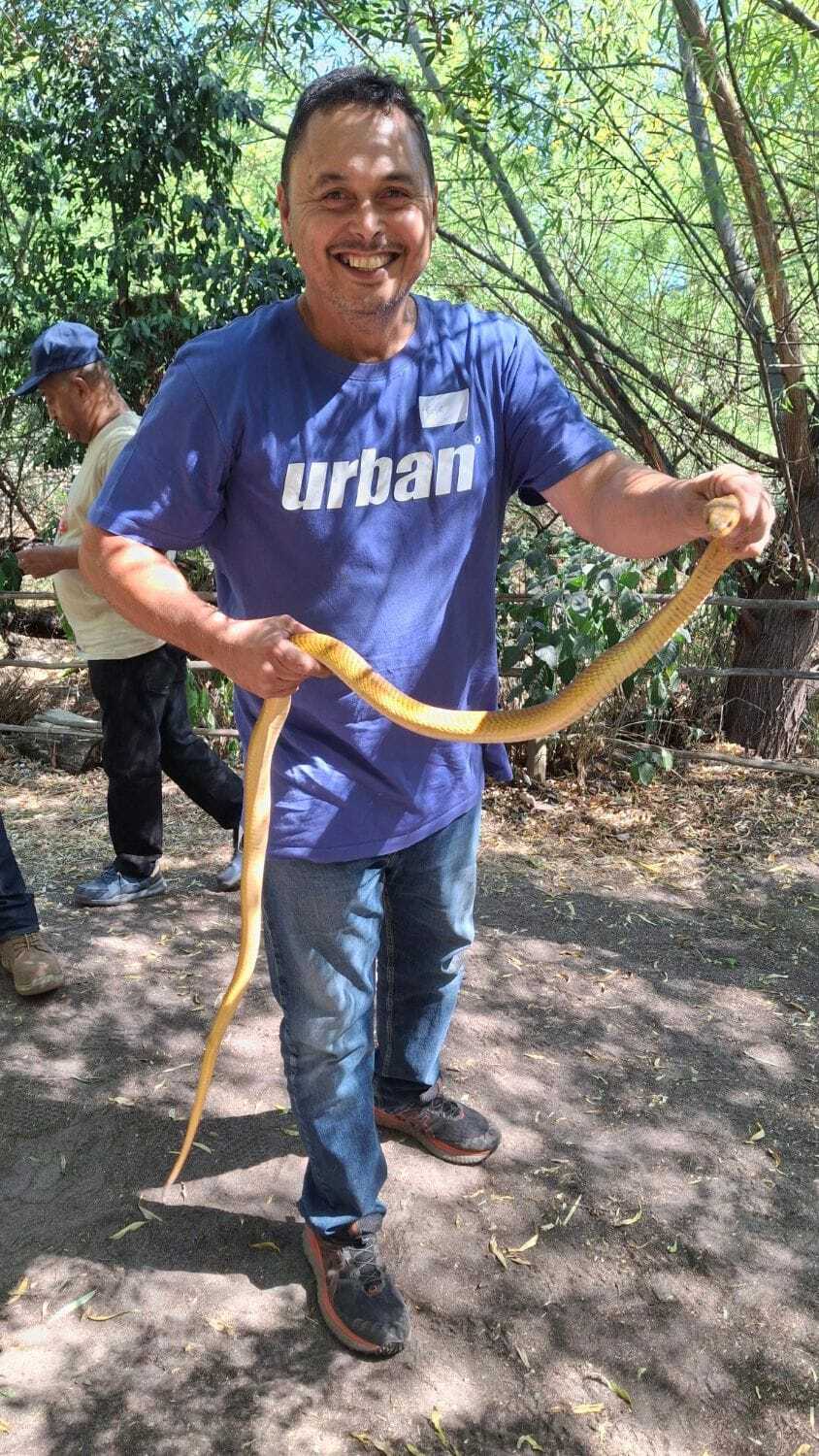 VDK guide holding a venomous snake during training.